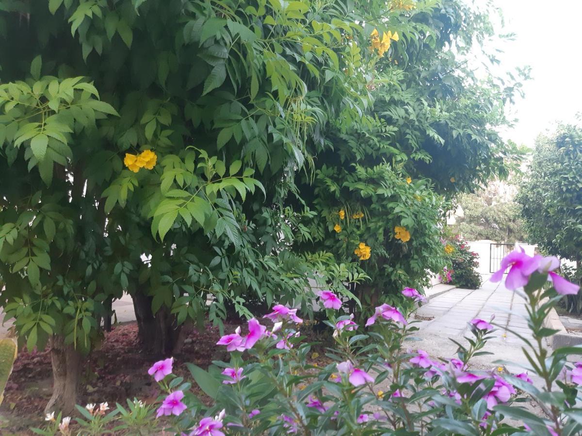 פרבוליה House Near The Beach מראה חיצוני תמונה